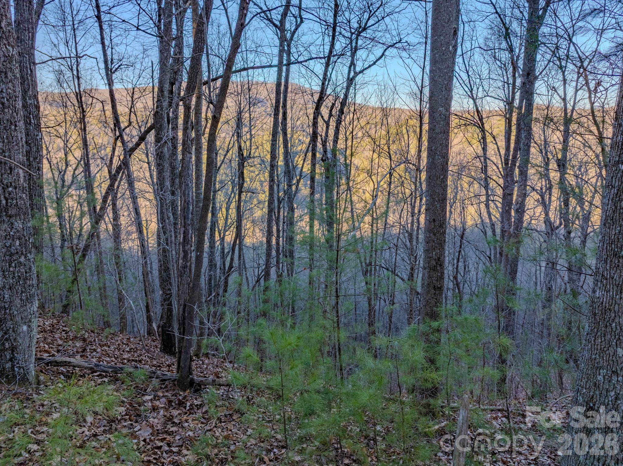 Lots 37 & 38 Settlers Ridge Road Hendersonville NC 28739