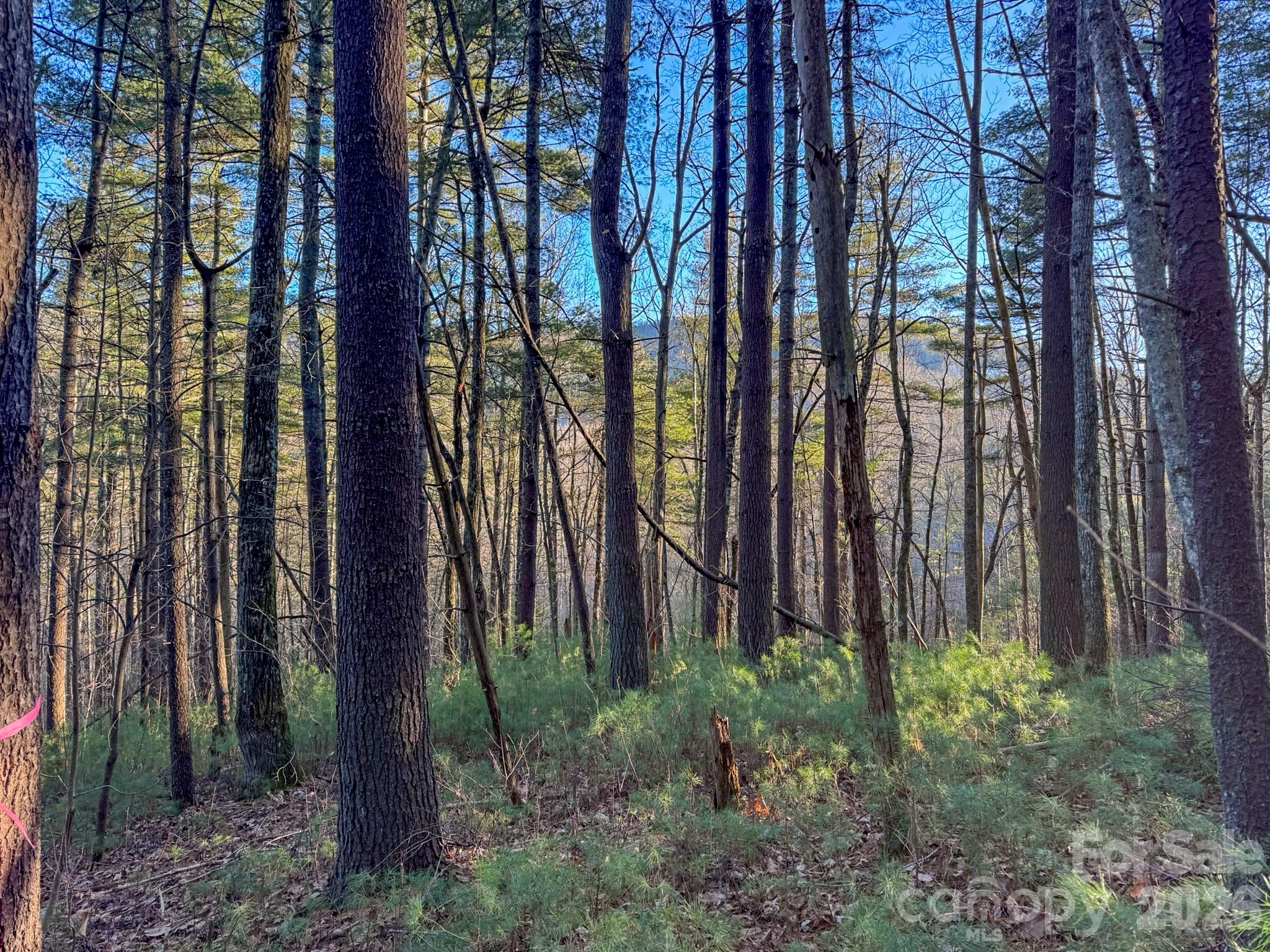 Lots 37 & 38 Settlers Ridge Road Hendersonville NC 28739