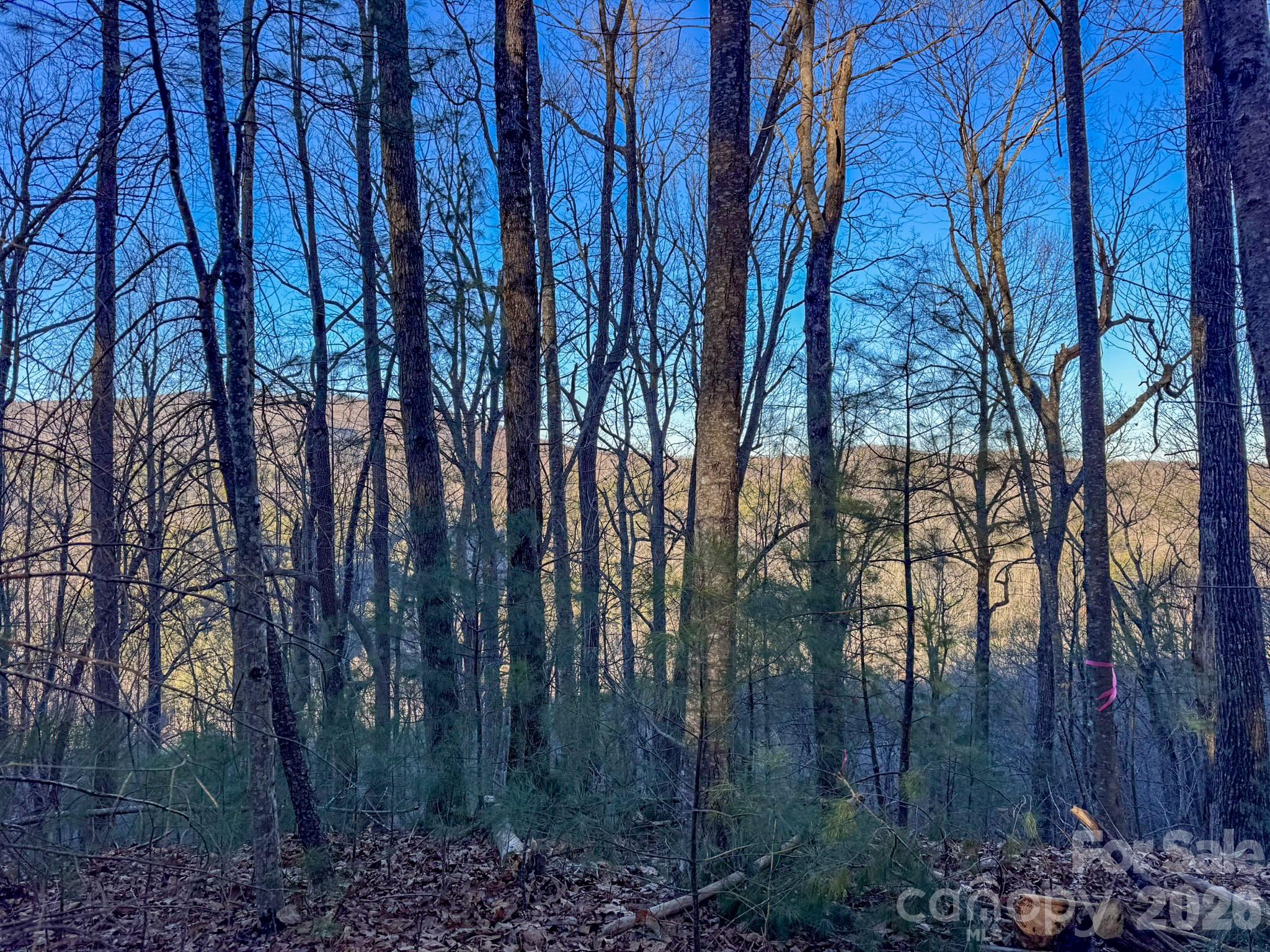 Lots 37 & 38 Settlers Ridge Road Hendersonville NC 28739