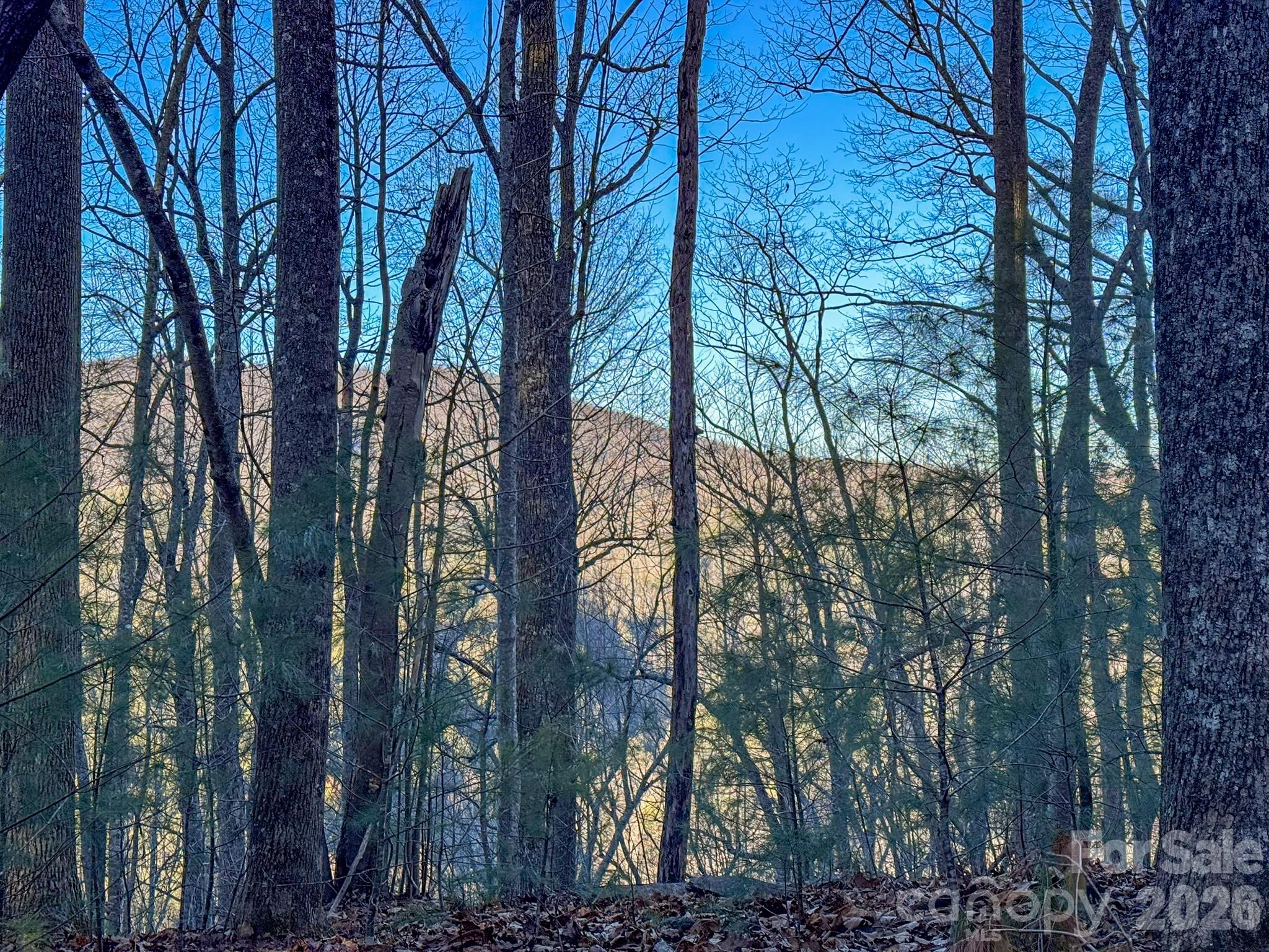 Lots 37 & 38 Settlers Ridge Road Hendersonville NC 28739
