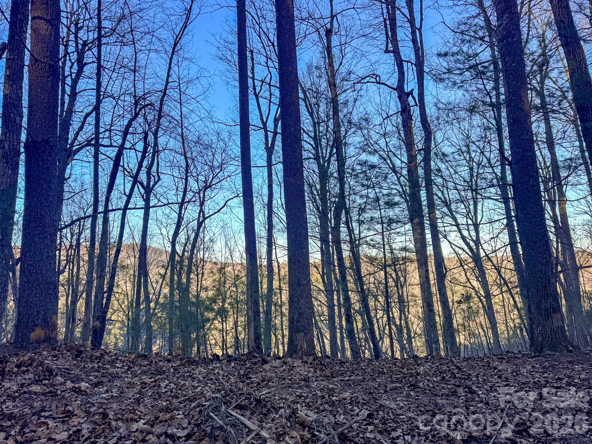Lots 37 & 38 Settlers Ridge Road Hendersonville NC 28739
