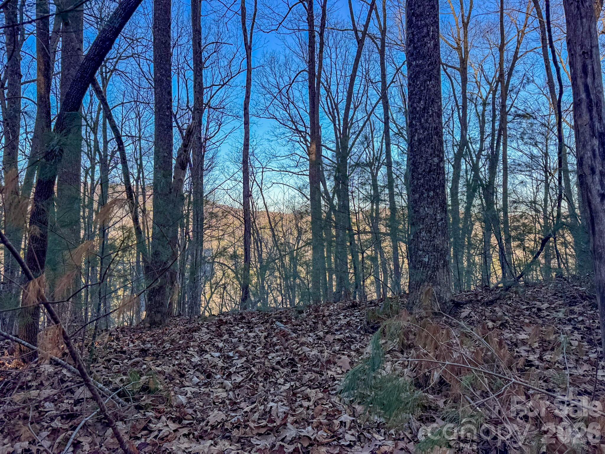 Lots 37 & 38 Settlers Ridge Road Hendersonville NC 28739