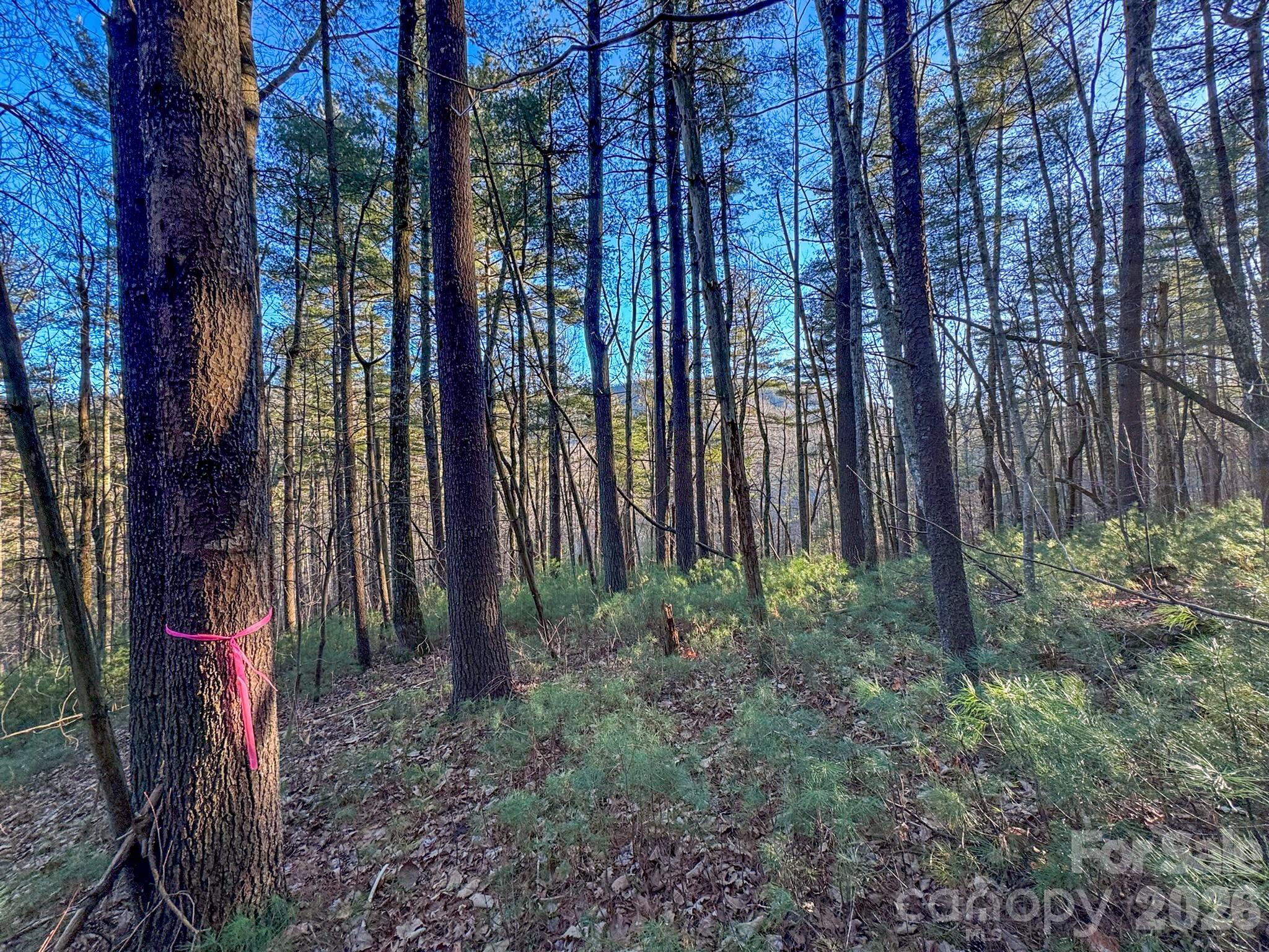 Lots 37 & 38 Settlers Ridge Road Hendersonville NC 28739