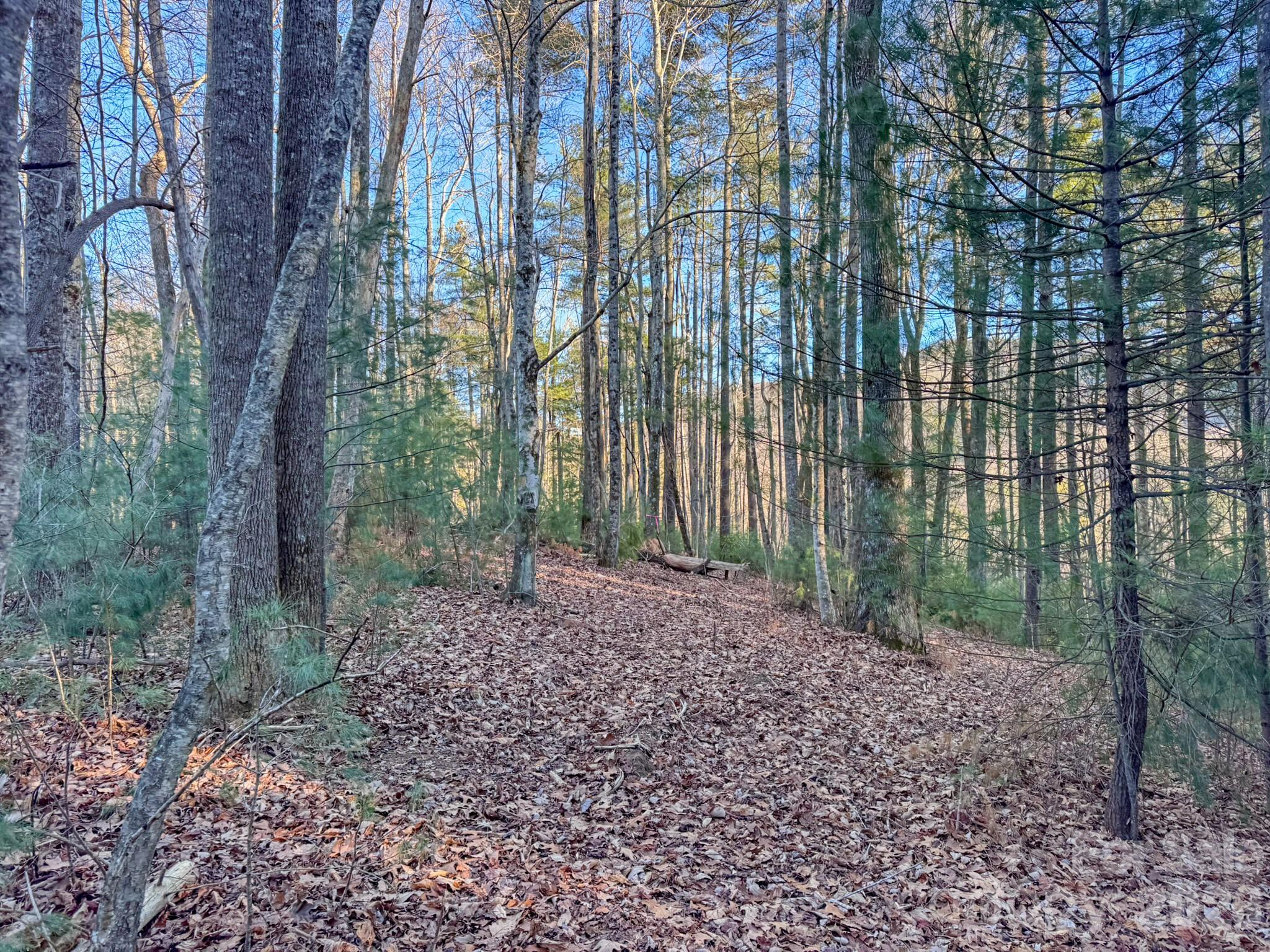 Lots 37 & 38 Settlers Ridge Road Hendersonville NC 28739
