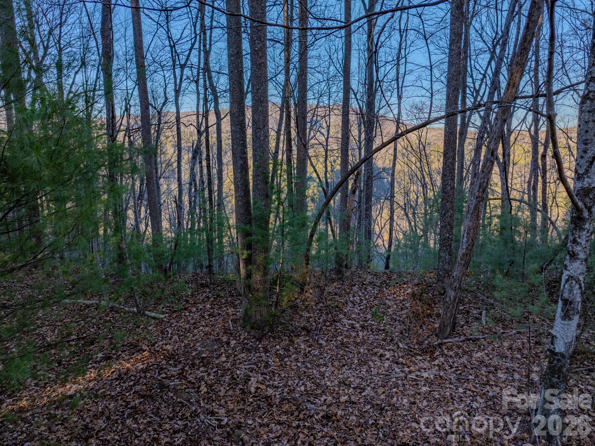 Lots 37 & 38 Settlers Ridge Road Hendersonville NC 28739