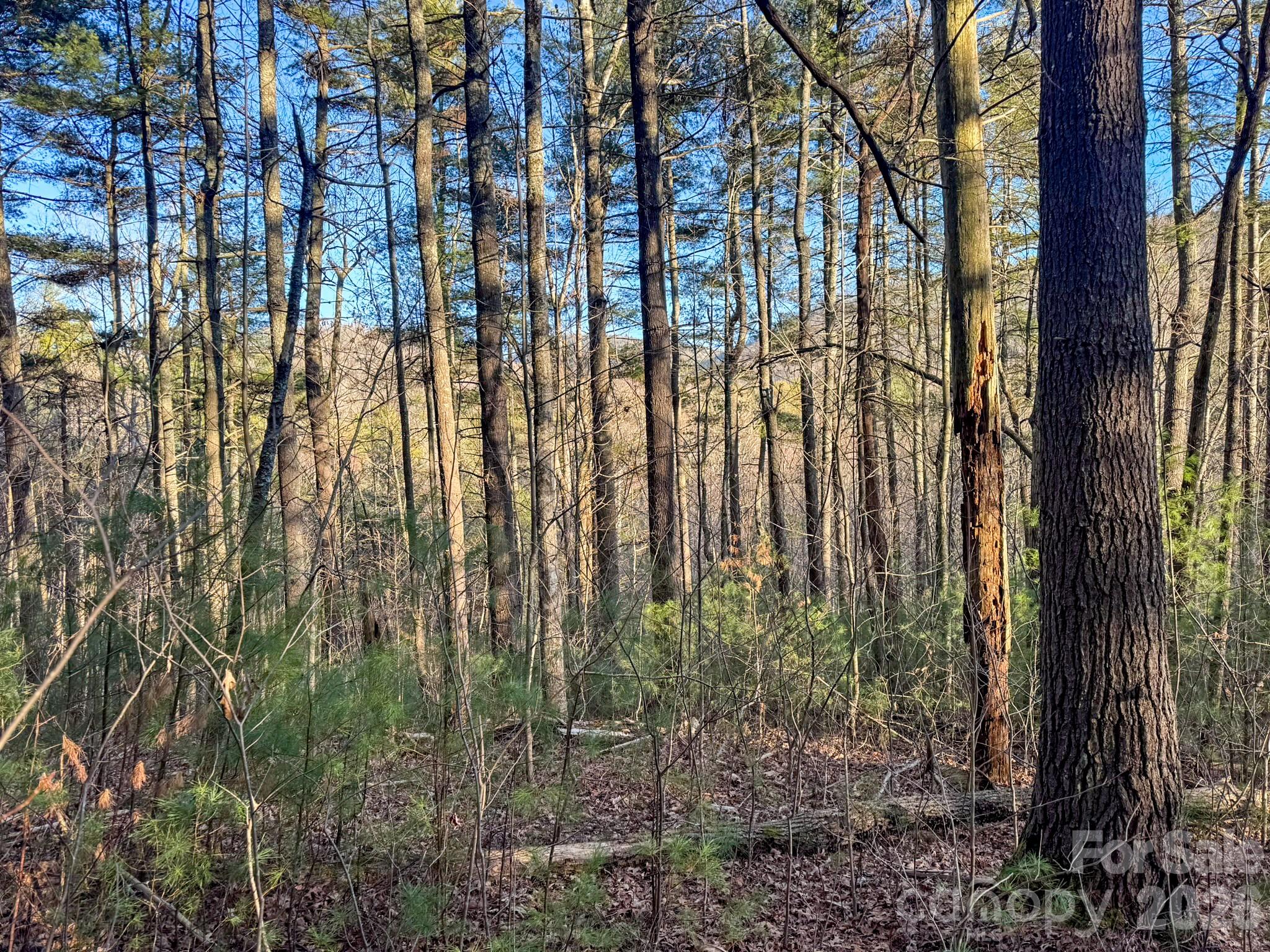 Lots 37 & 38 Settlers Ridge Road Hendersonville NC 28739