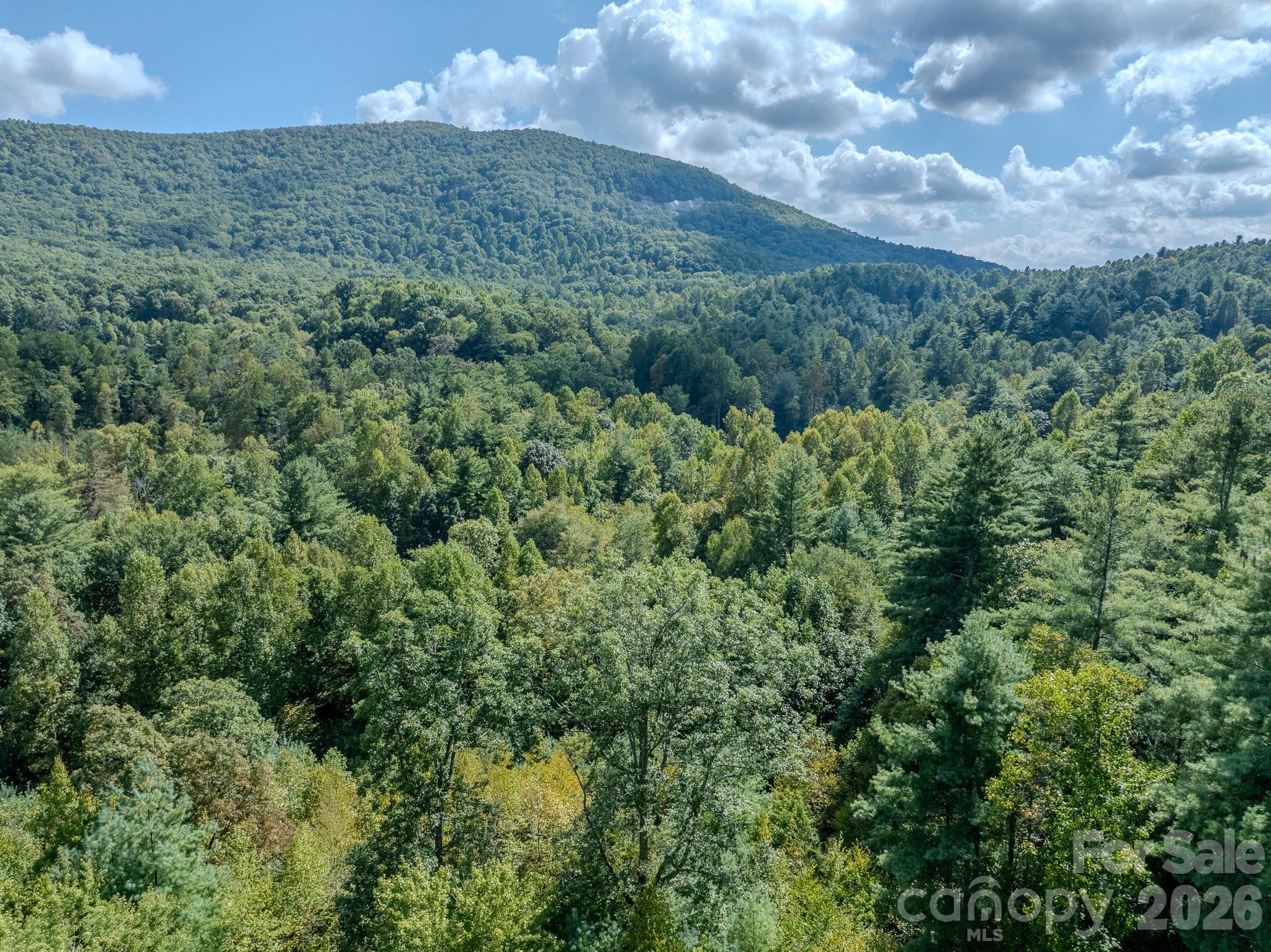 Lots 37 & 38 Settlers Ridge Road Hendersonville NC 28739