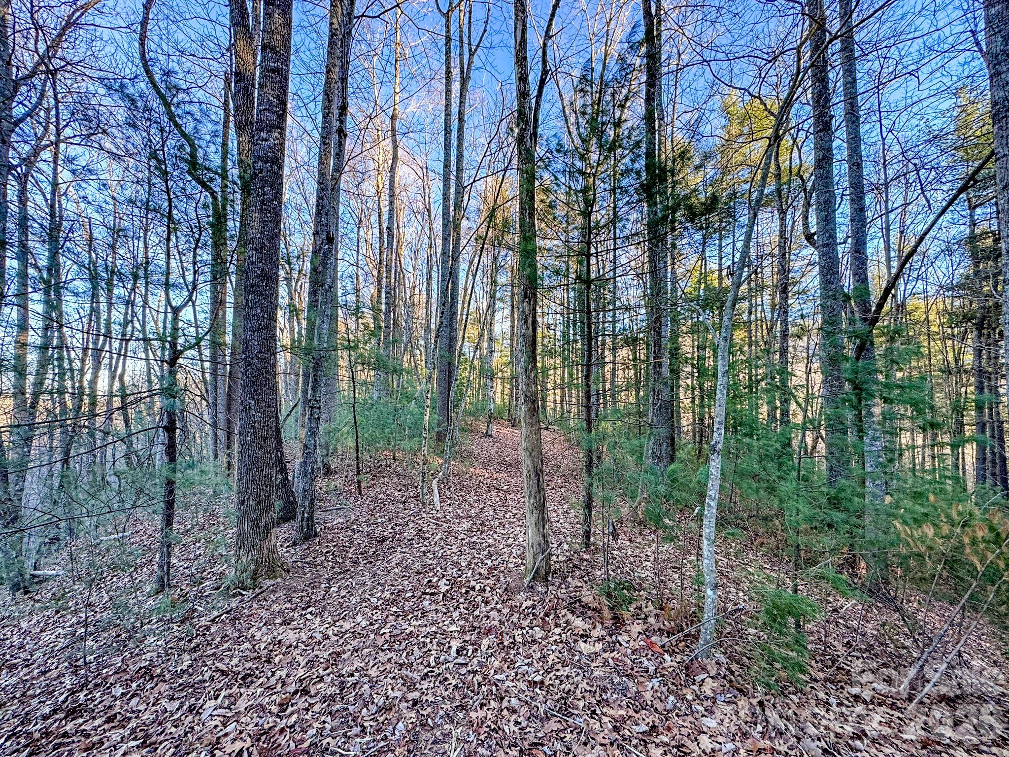 Lots 37 & 38 Settlers Ridge Road Hendersonville NC 28739