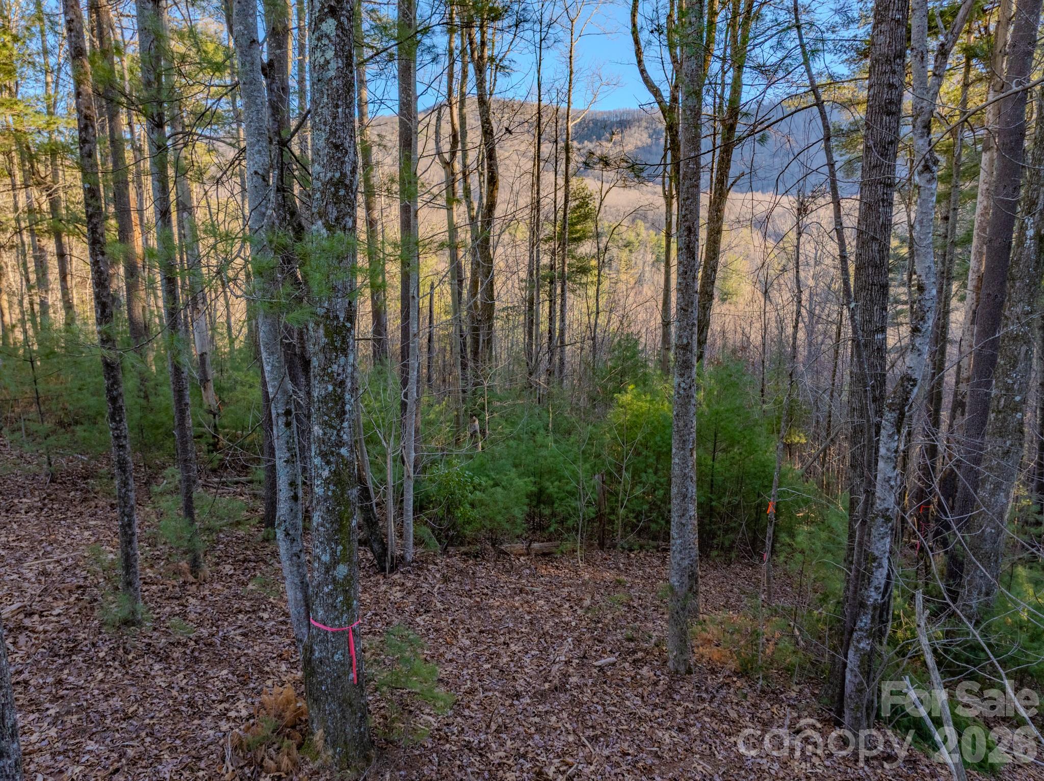Lots 37 & 38 Settlers Ridge Road Hendersonville NC 28739