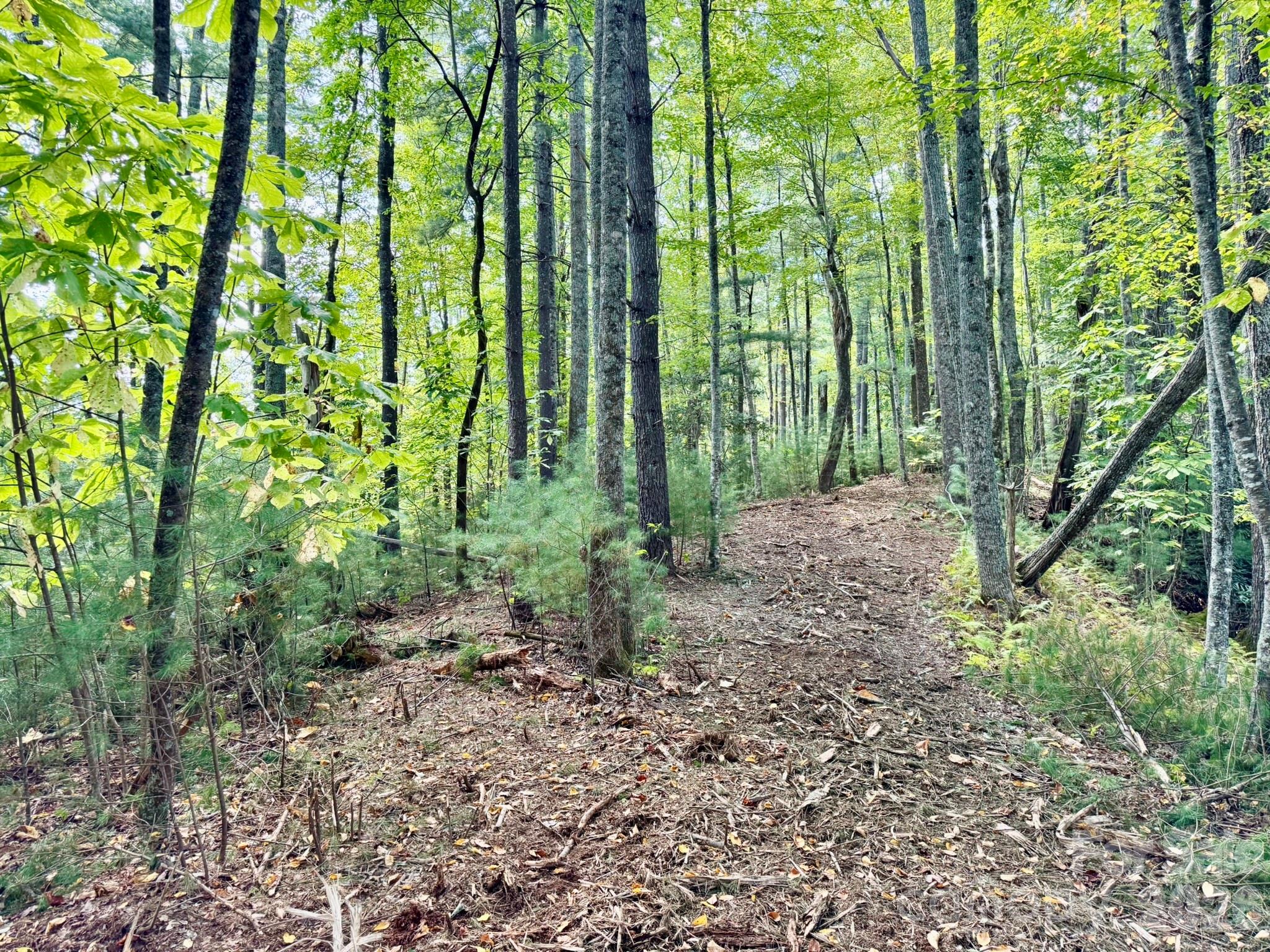 Lots 37 & 38 Settlers Ridge Road Hendersonville NC 28739