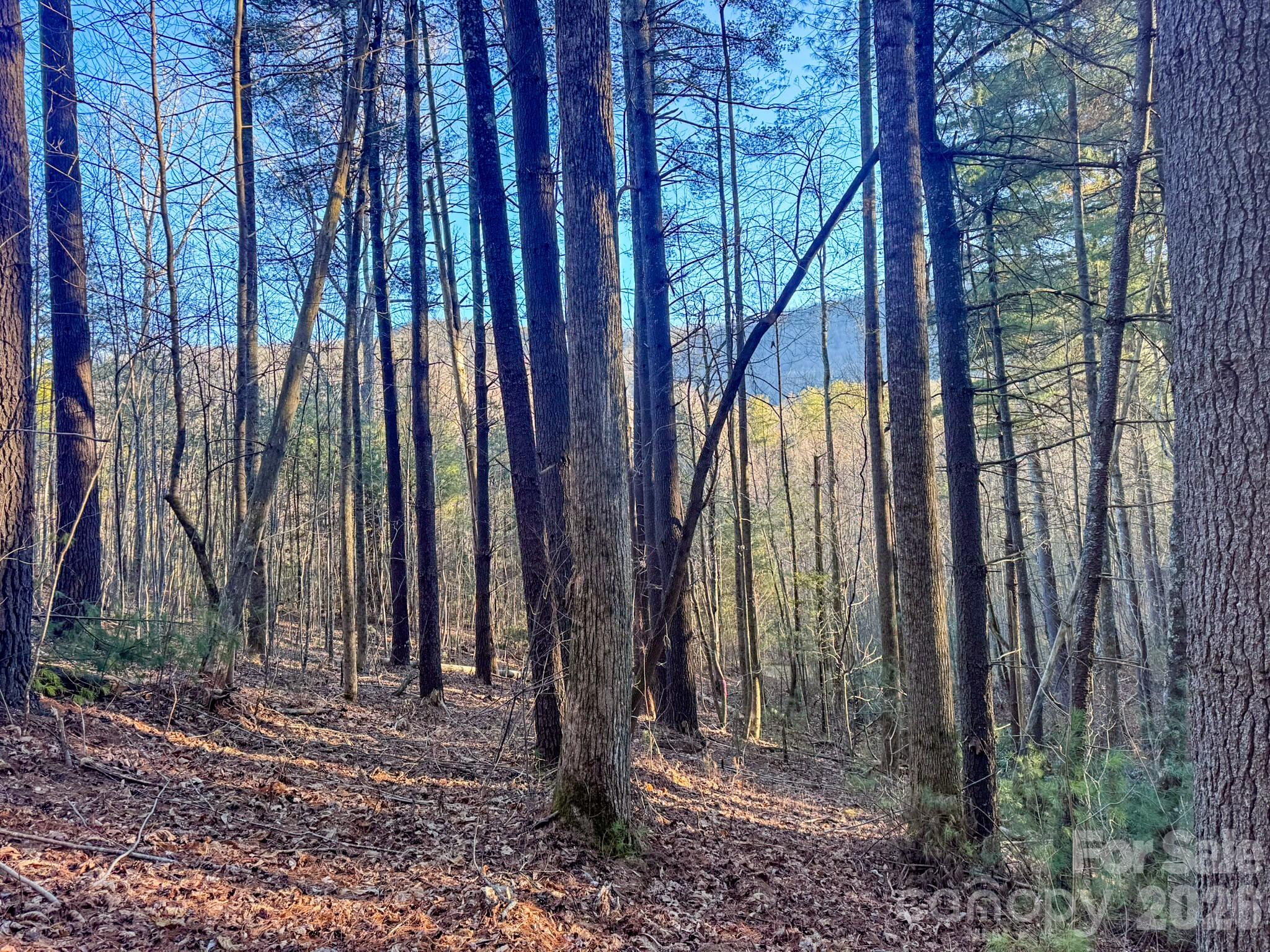Lots 37 & 38 Settlers Ridge Road Hendersonville NC 28739