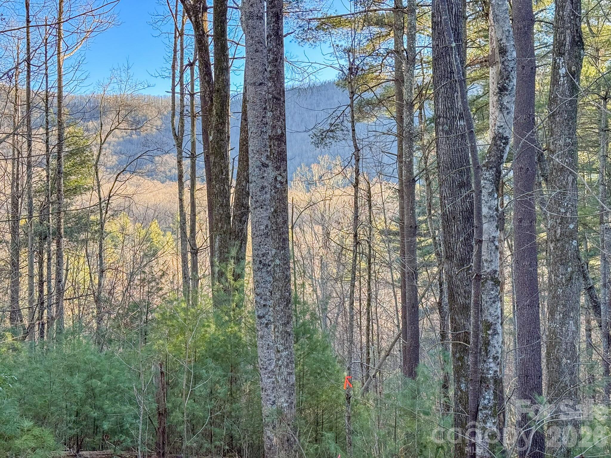 Lots 37 & 38 Settlers Ridge Road Hendersonville NC 28739