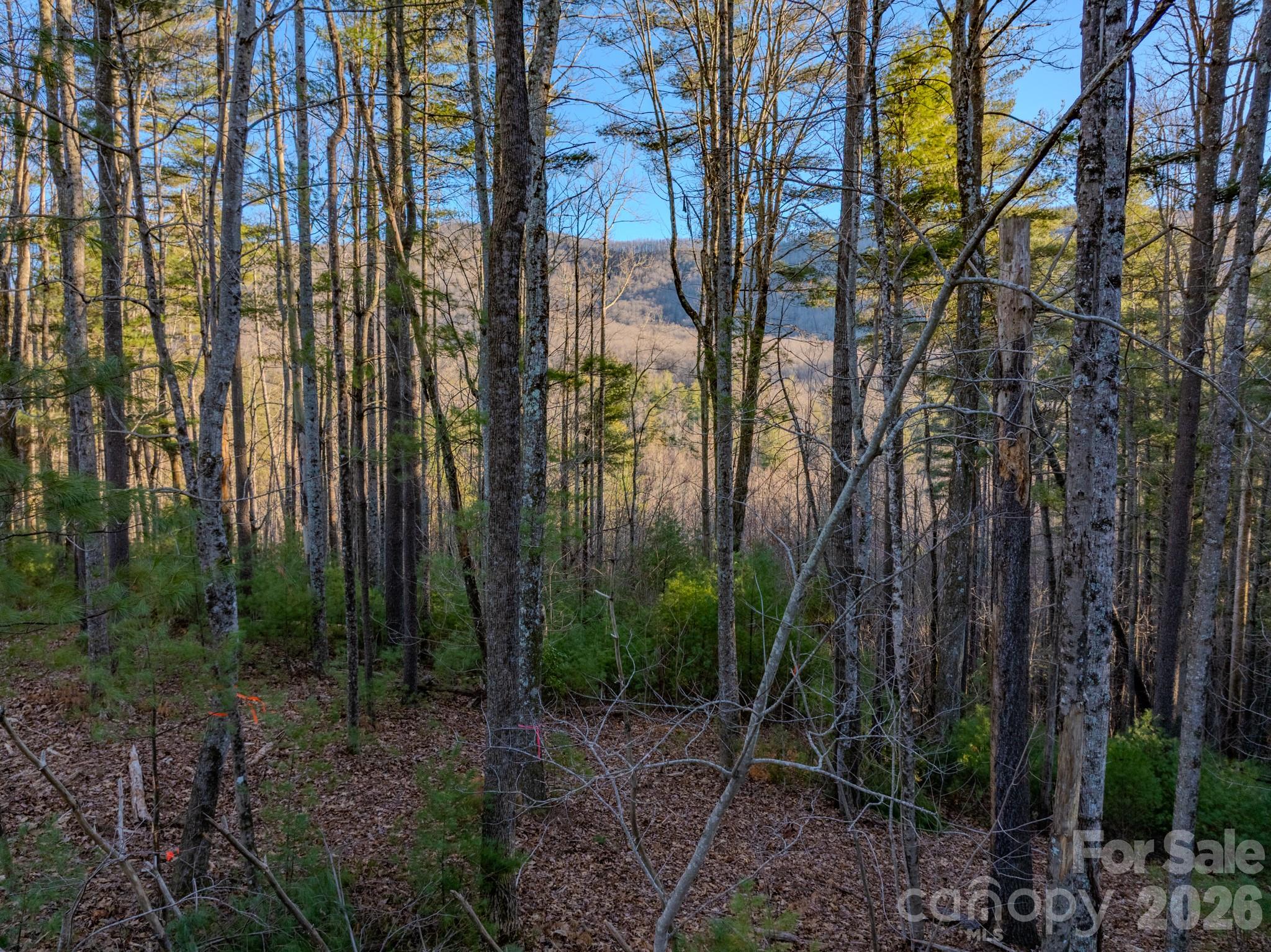 Lots 37 & 38 Settlers Ridge Road Hendersonville NC 28739