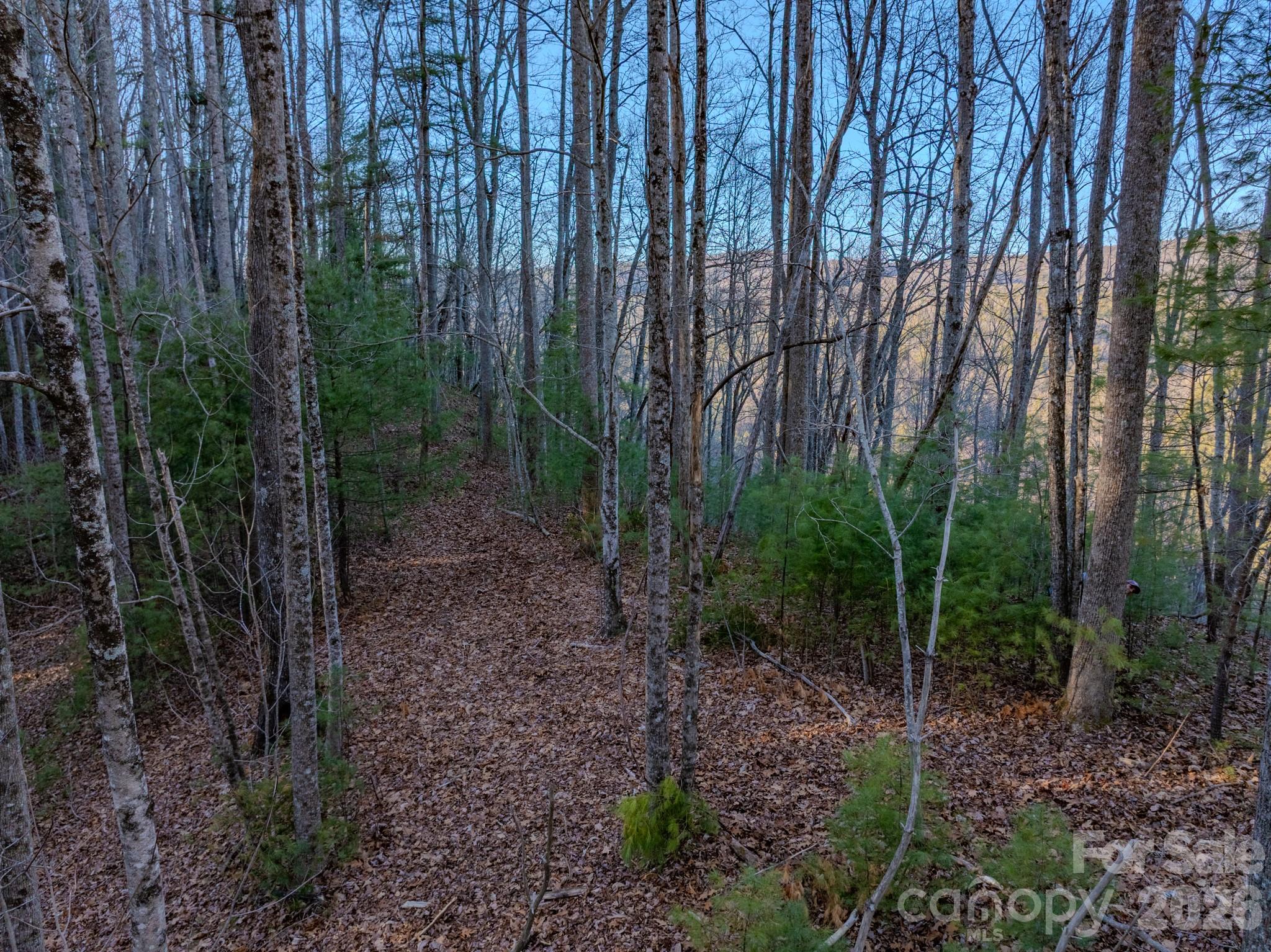 Lots 37 & 38 Settlers Ridge Road Hendersonville NC 28739