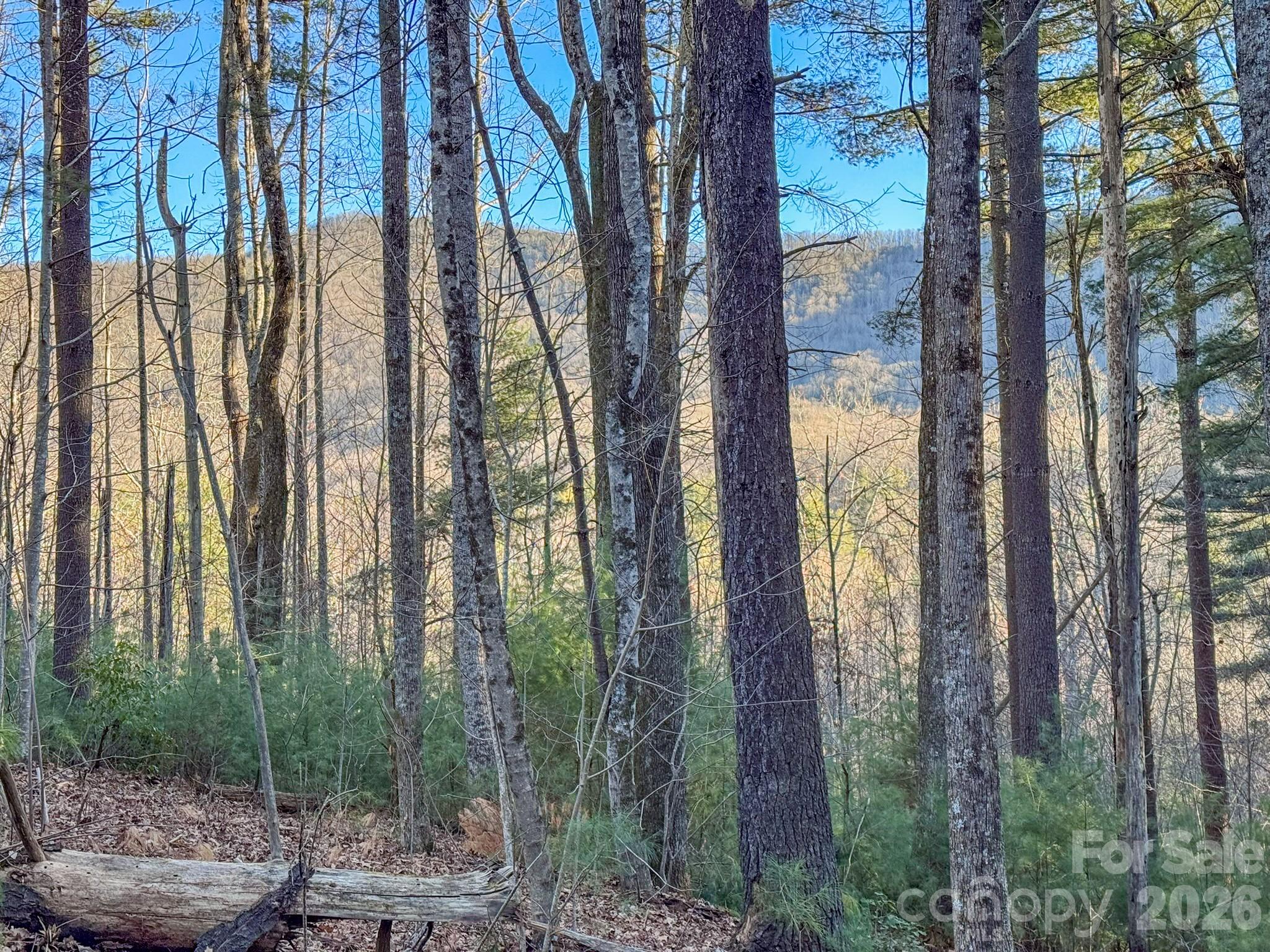 Lots 37 & 38 Settlers Ridge Road Hendersonville NC 28739