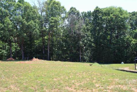 1103 Hastings Court China Grove NC 28023