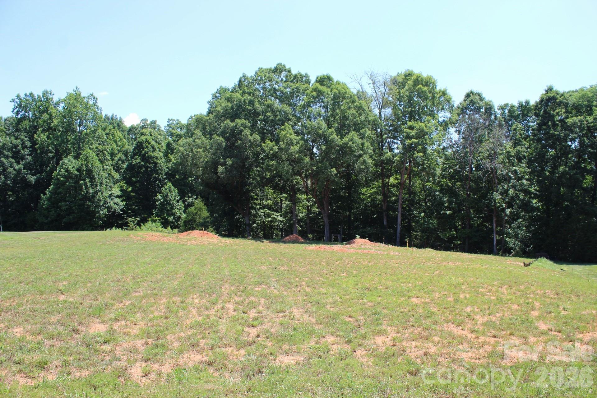 1103 Hastings Court China Grove NC 28023