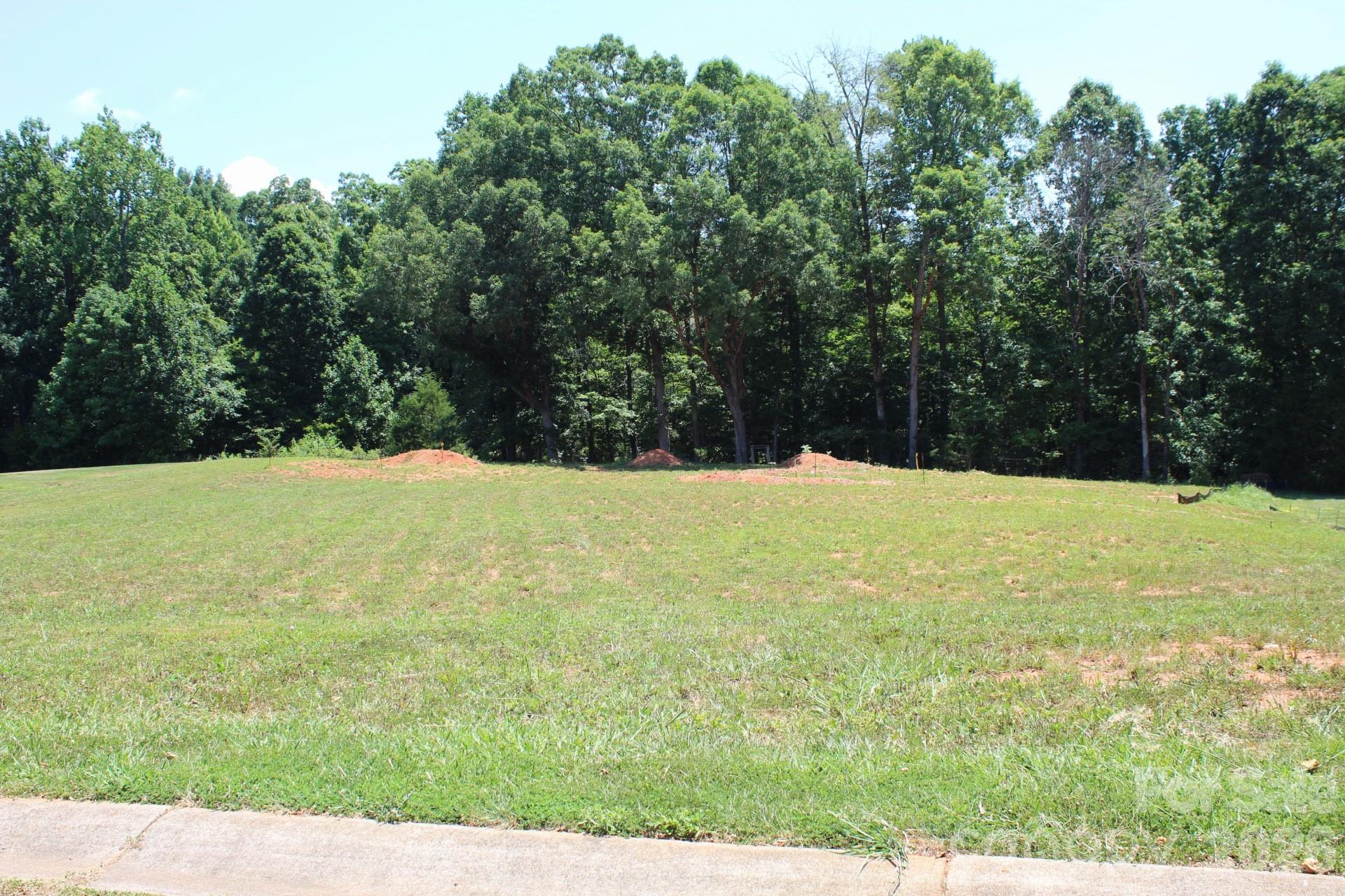 1103 Hastings Court China Grove NC 28023