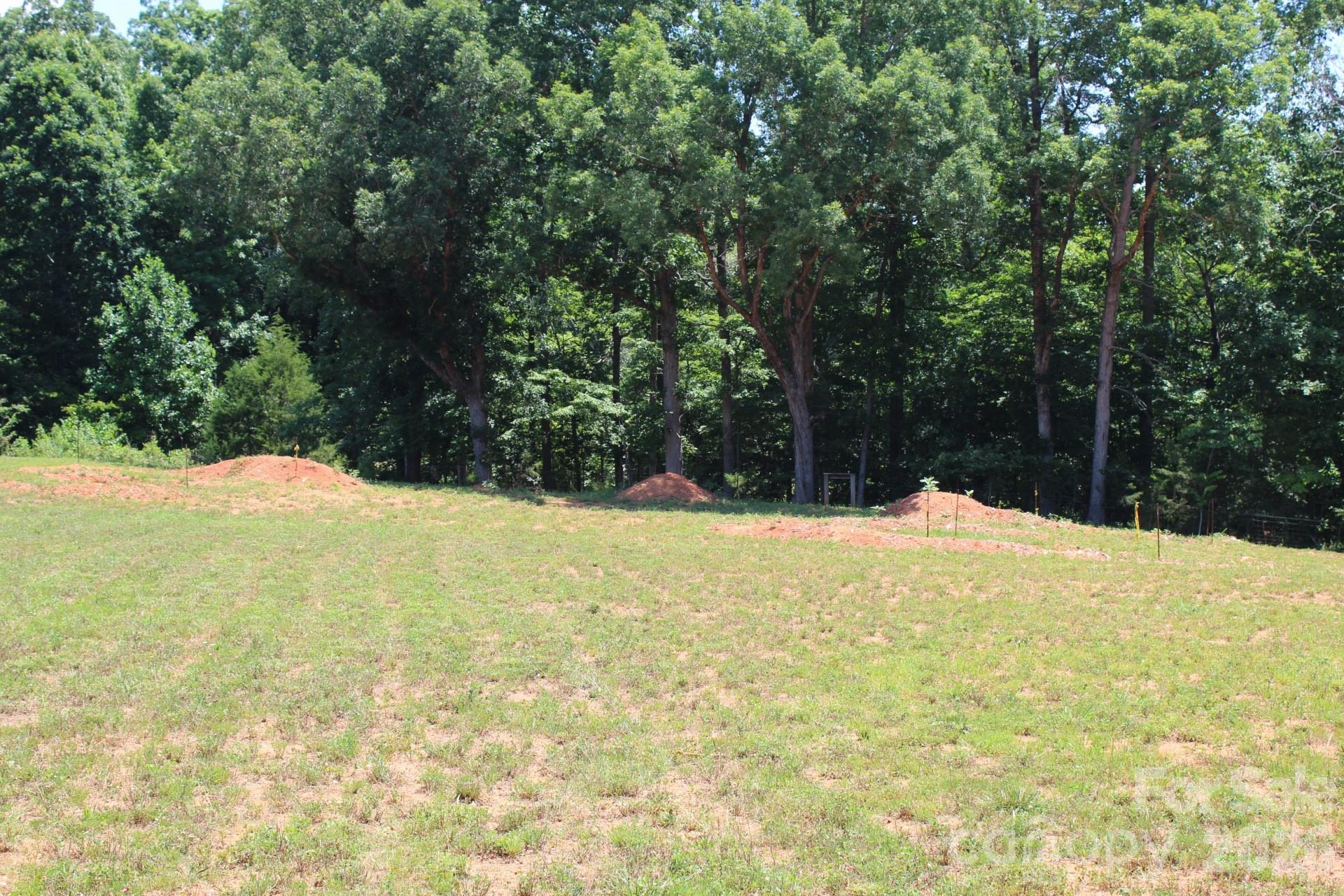 1103 Hastings Court China Grove NC 28023