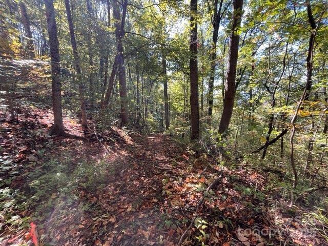 99999 Moody Cove Road Weaverville NC 28787