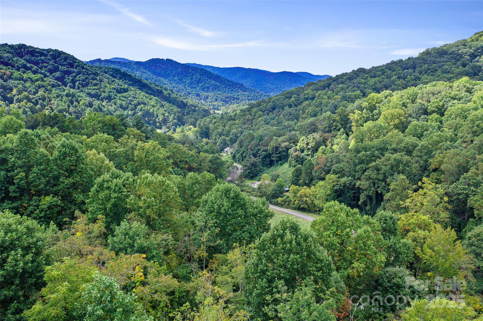 99999 Moody Cove Road Weaverville NC 28787