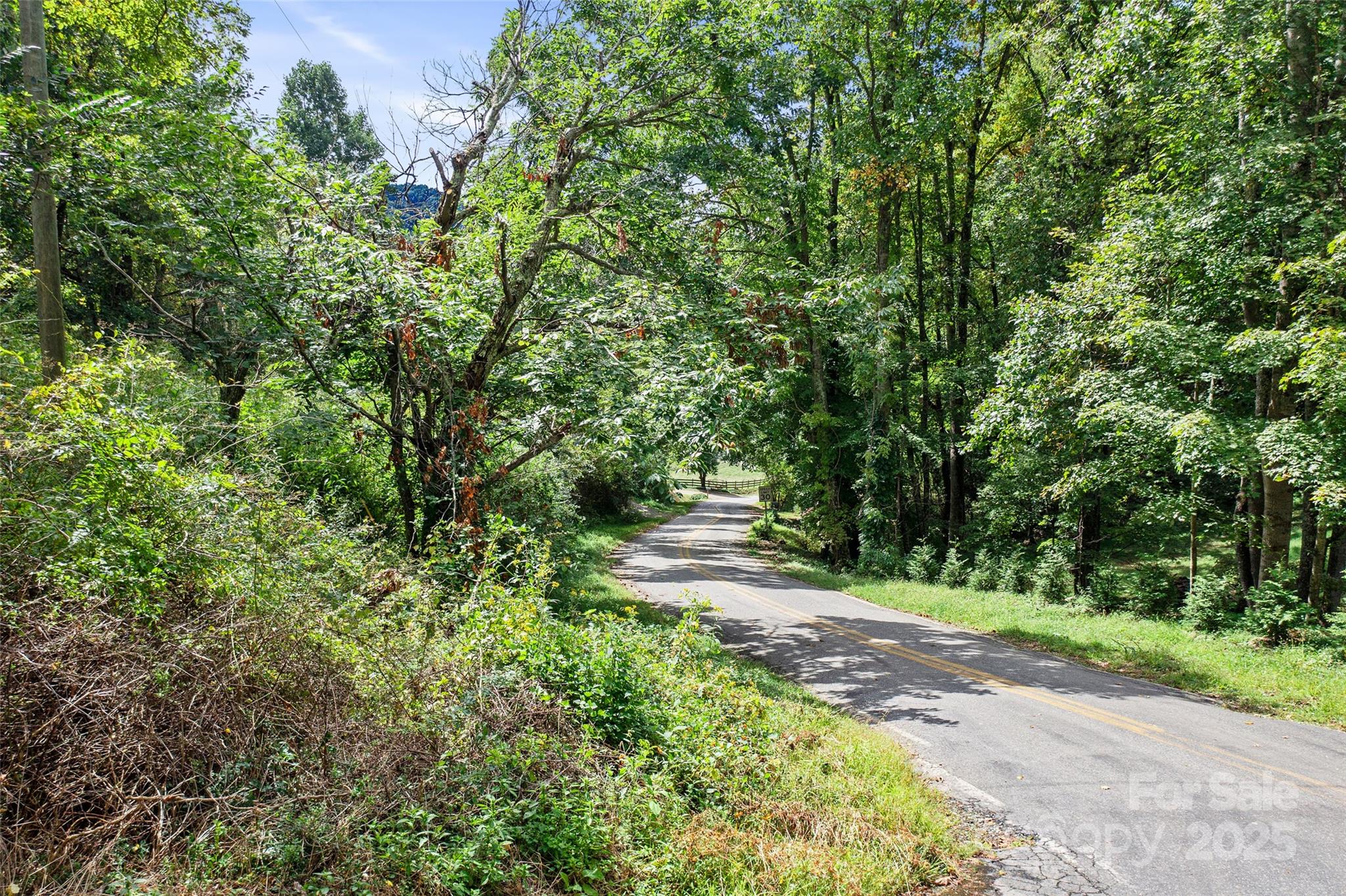 99999 Moody Cove Road Weaverville NC 28787