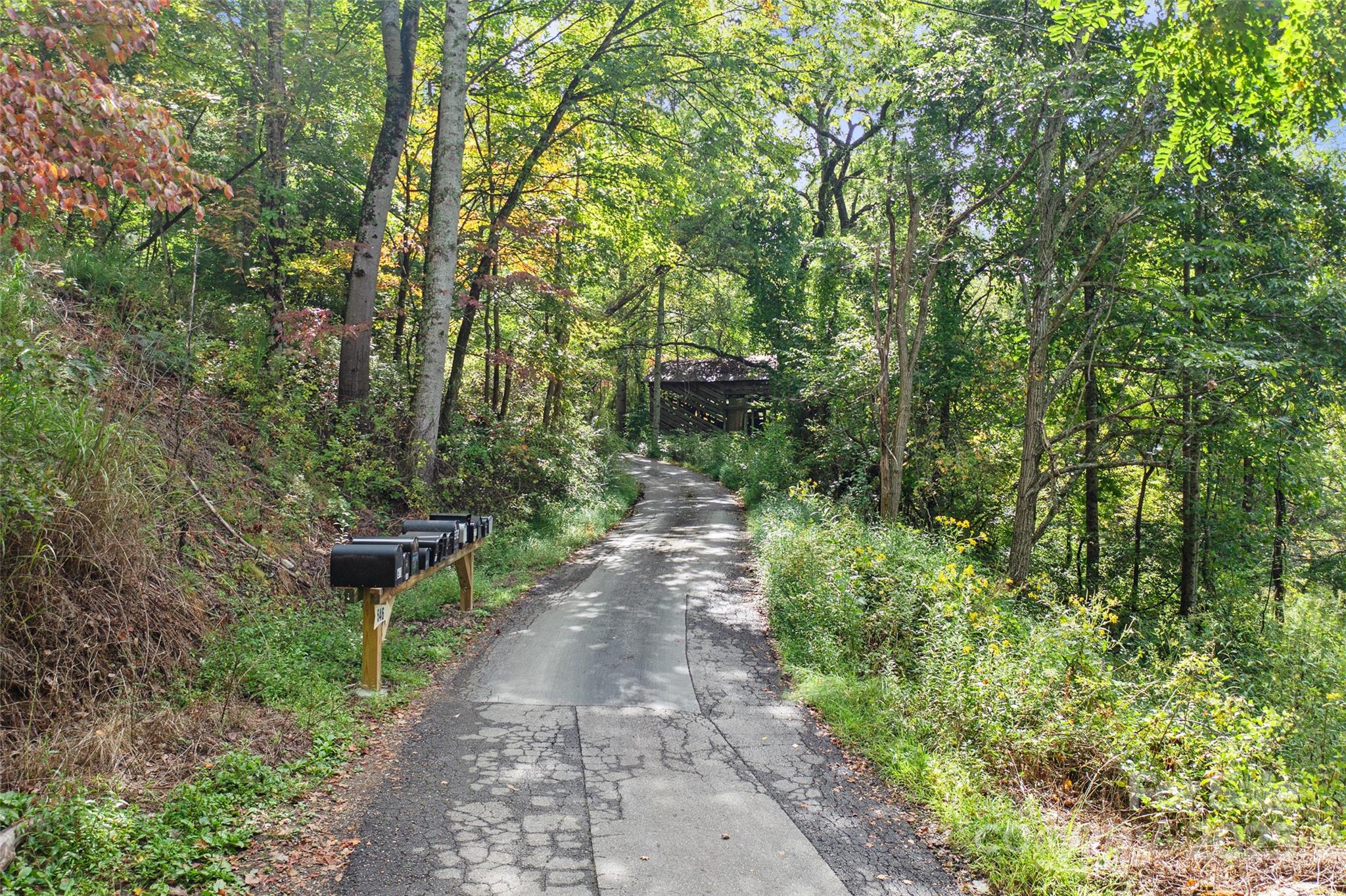 99999 Moody Cove Road Weaverville NC 28787