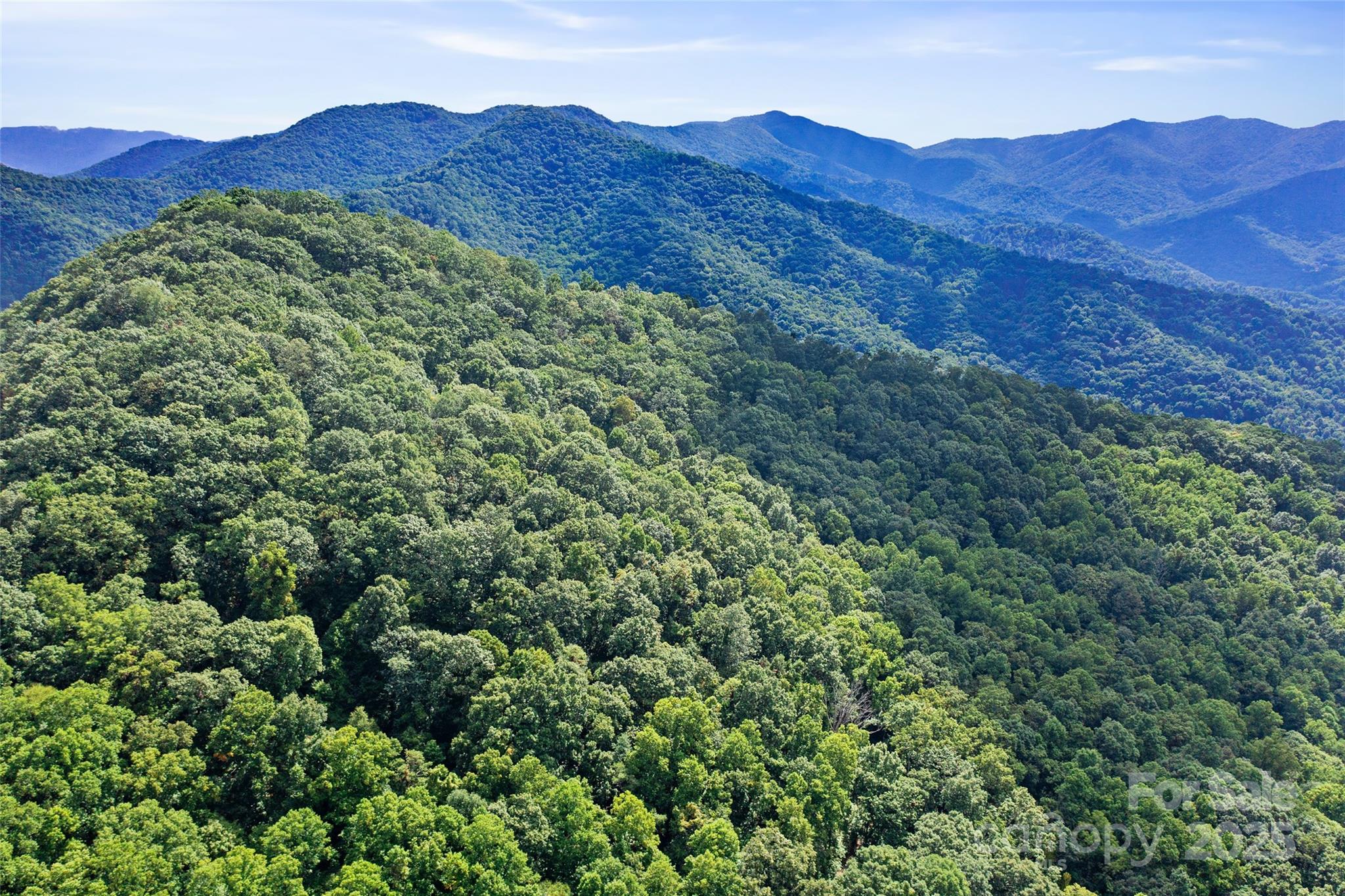 99999 Moody Cove Road Weaverville NC 28787