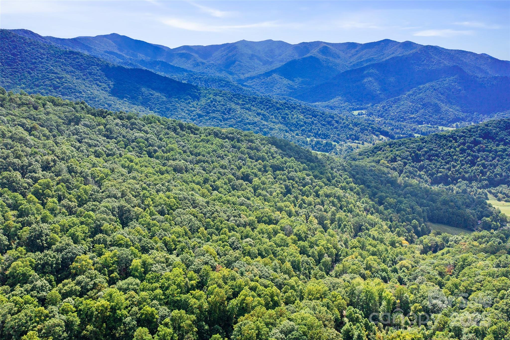 99999 Moody Cove Road Weaverville NC 28787