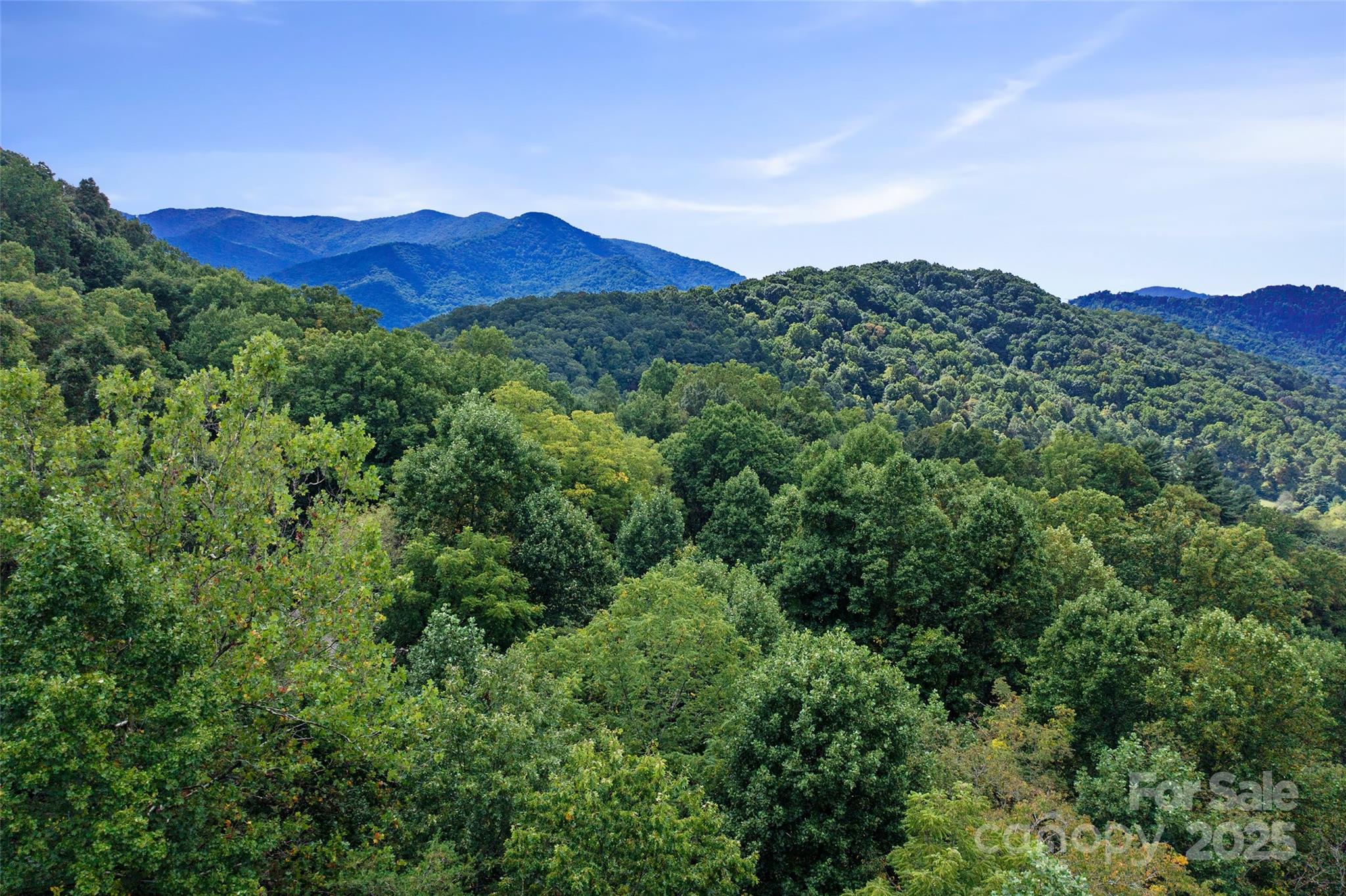 99999 Moody Cove Road Weaverville NC 28787