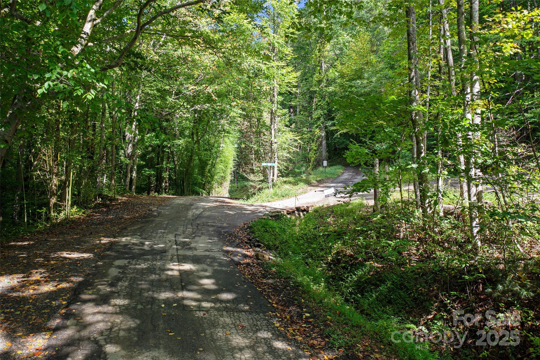 99999 Moody Cove Road Weaverville NC 28787