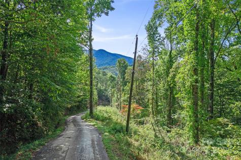 99999 Moody Cove Road Weaverville NC 28787