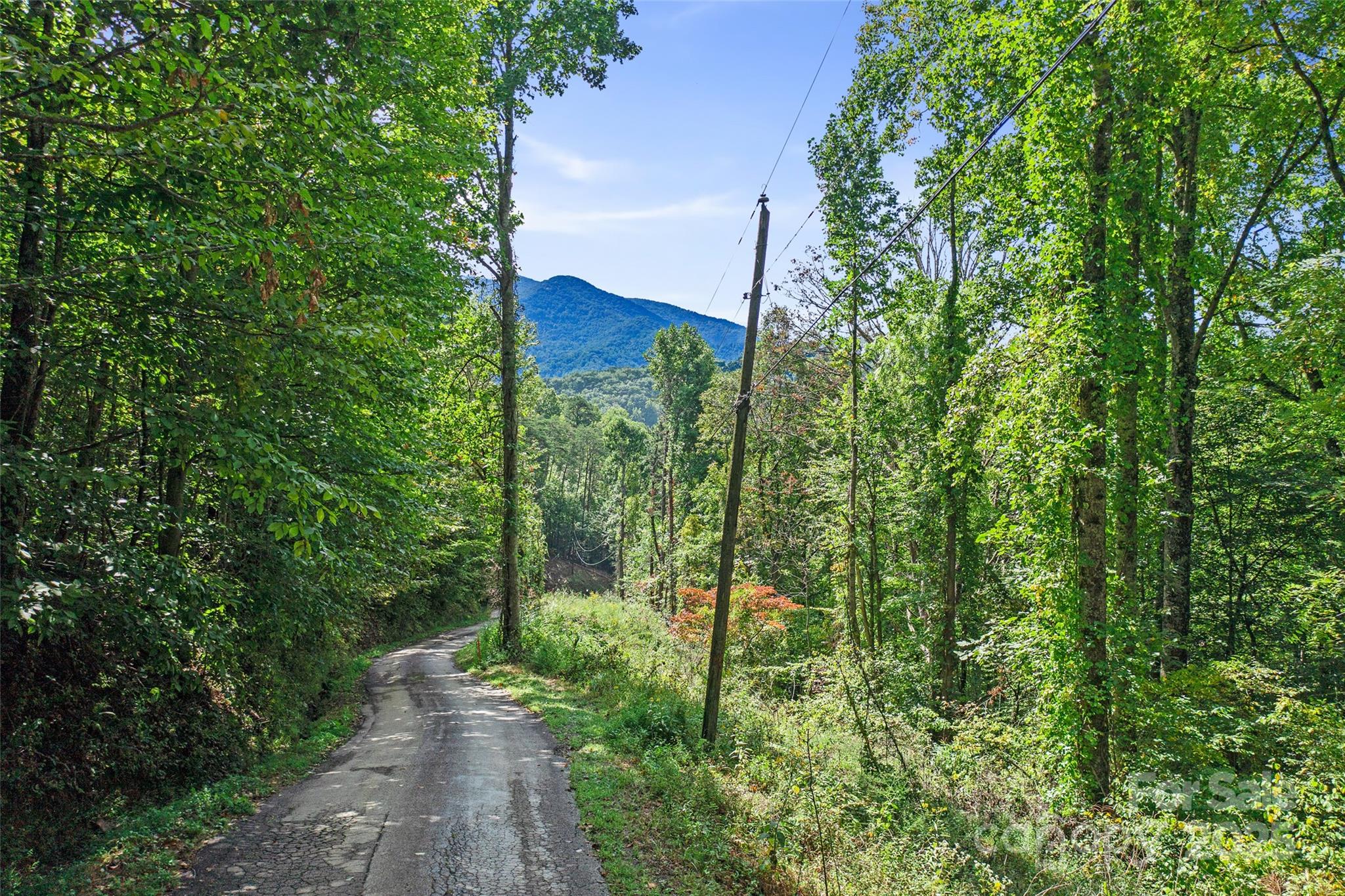 99999 Moody Cove Road Weaverville NC 28787
