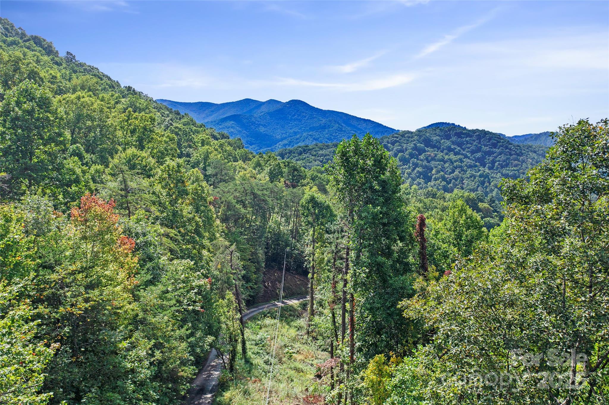 99999 Moody Cove Road Weaverville NC 28787