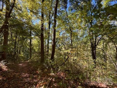 99999 Moody Cove Road Weaverville NC 28787