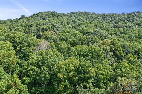 99999 Moody Cove Road Weaverville NC 28787