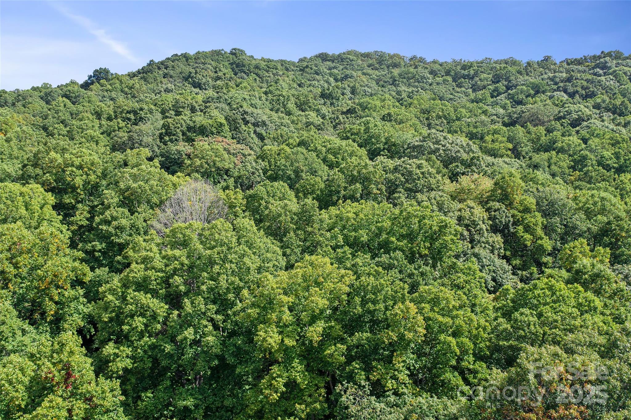 99999 Moody Cove Road Weaverville NC 28787