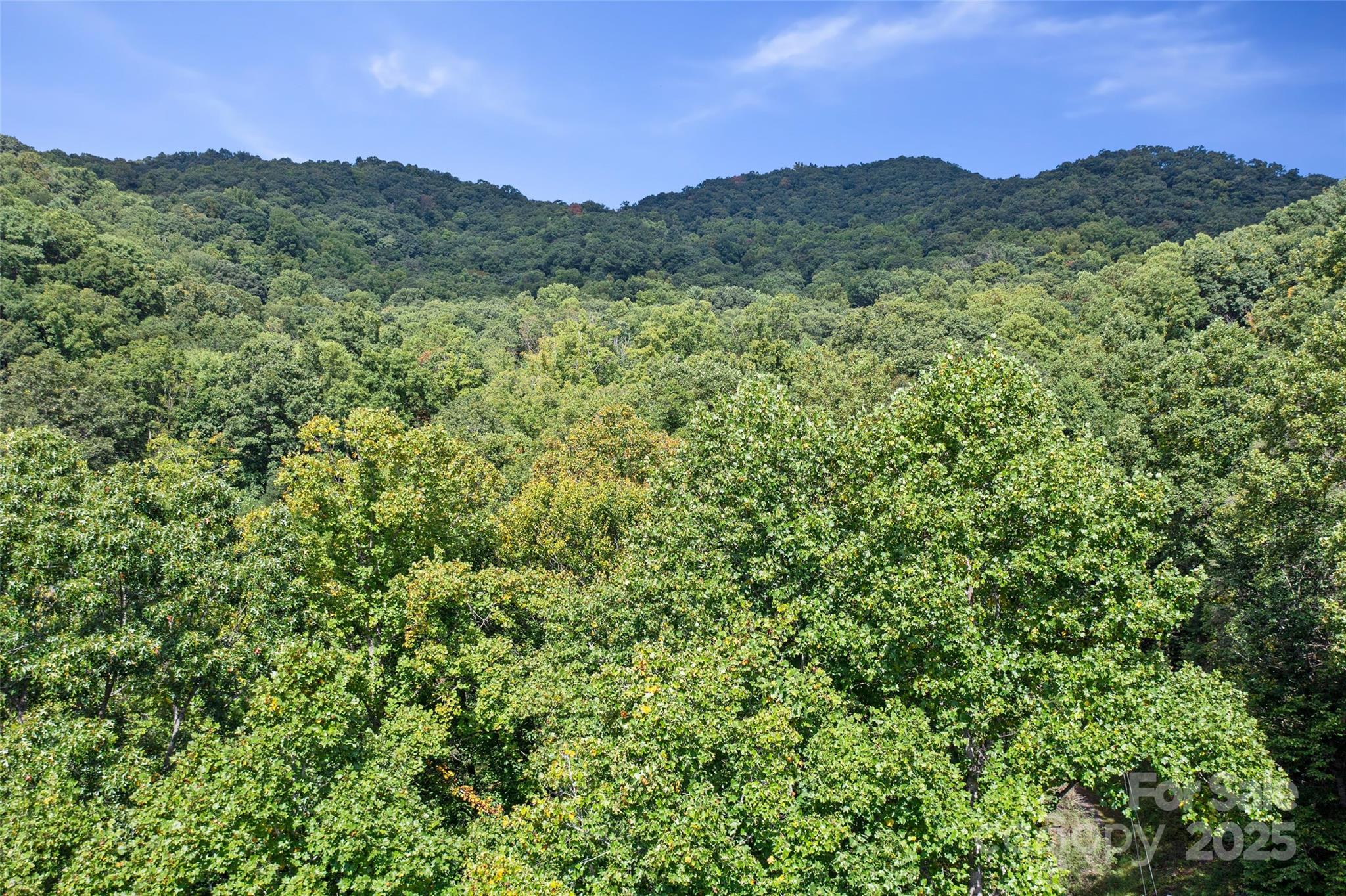 99999 Moody Cove Road Weaverville NC 28787