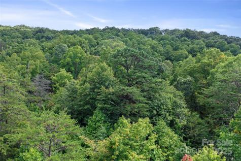 99999 Moody Cove Road Weaverville NC 28787