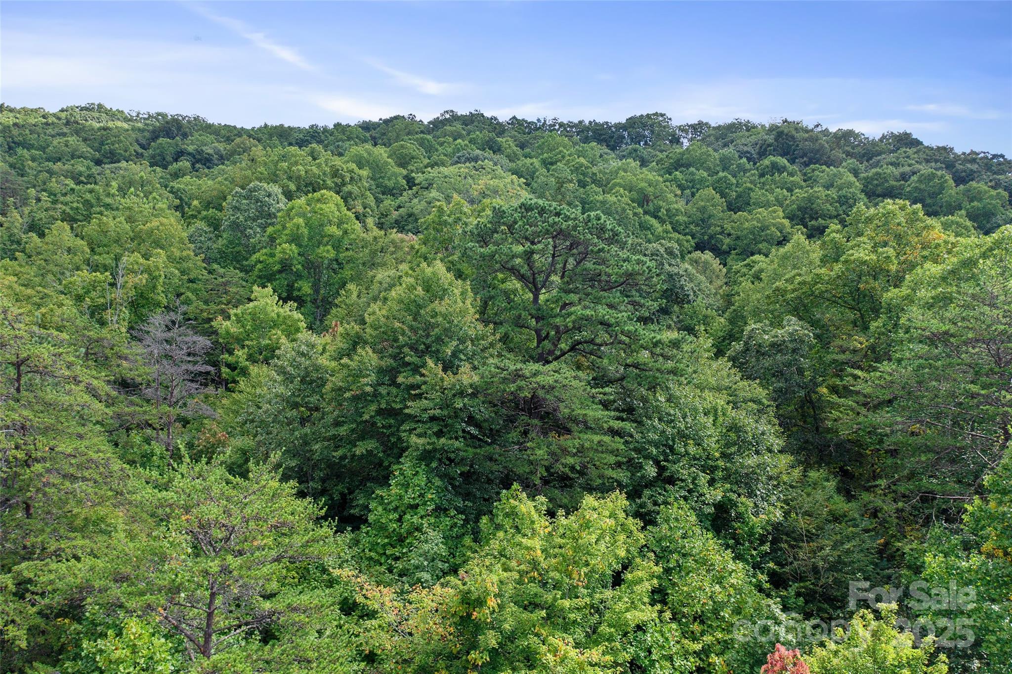 99999 Moody Cove Road Weaverville NC 28787