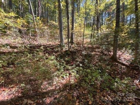 99999 Moody Cove Road Weaverville NC 28787