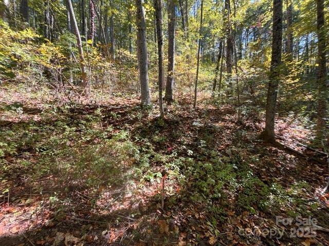 99999 Moody Cove Road Weaverville NC 28787