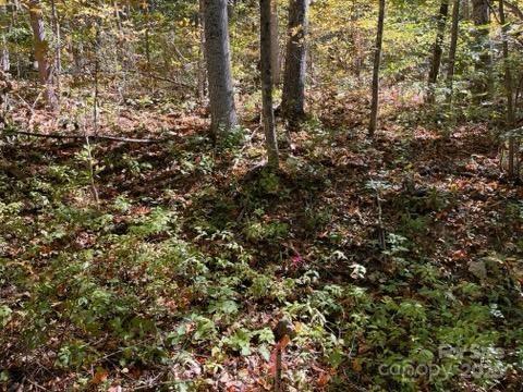 99999 Moody Cove Road Weaverville NC 28787