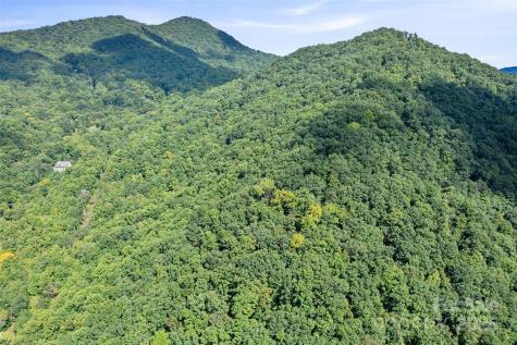 99999 Moody Cove Road Weaverville NC 28787