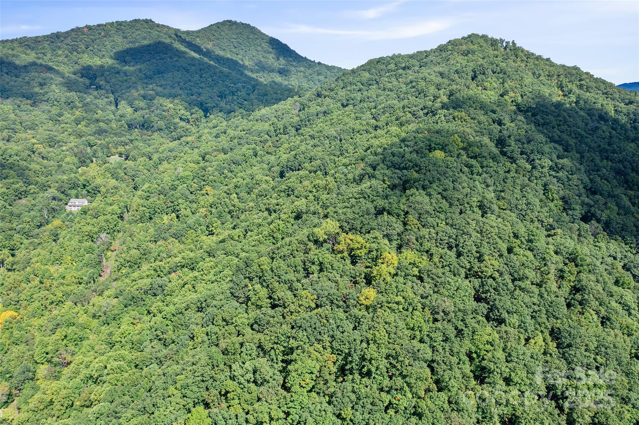 99999 Moody Cove Road Weaverville NC 28787