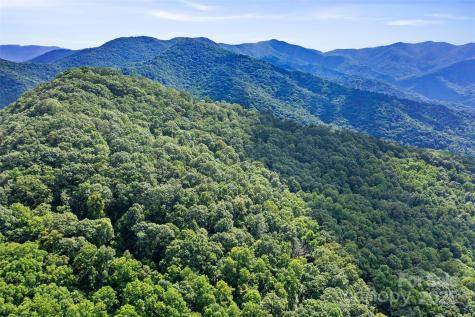 99999 Moody Cove Road Weaverville NC 28787