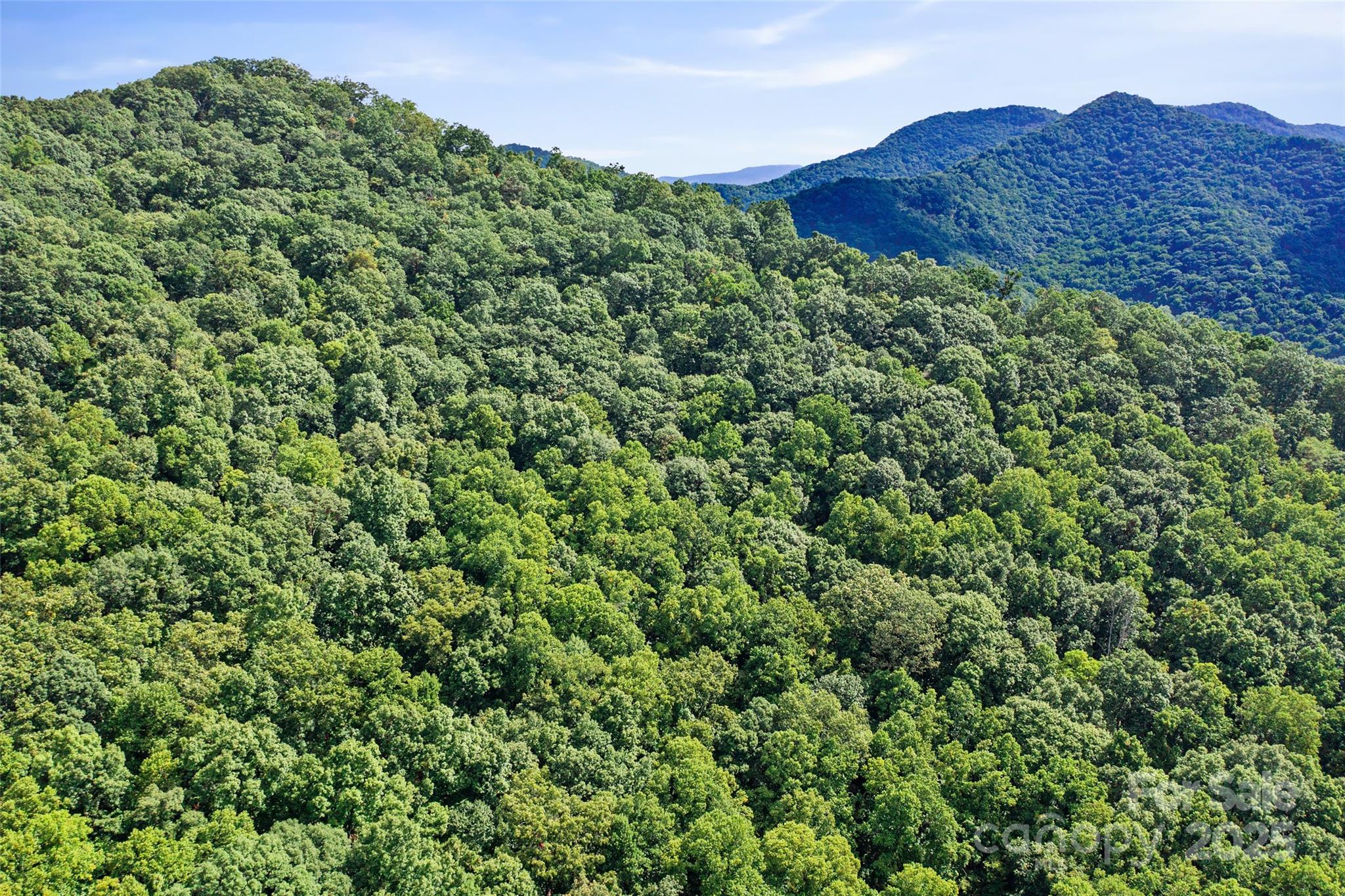 99999 Moody Cove Road Weaverville NC 28787