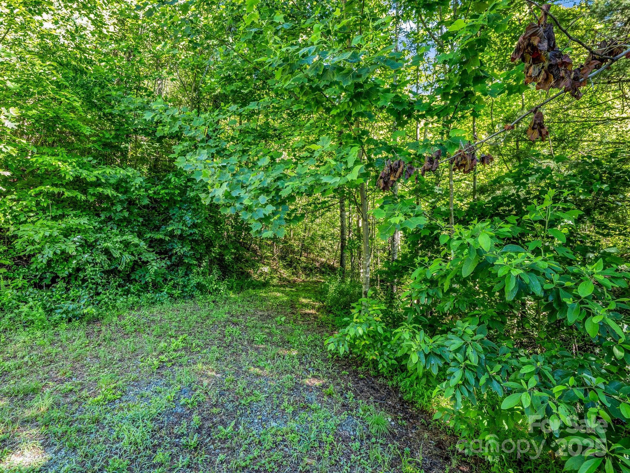 Tbd Climbing Road Hendersonville NC 28792