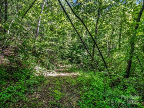 Tbd Climbing Road Hendersonville NC 28792