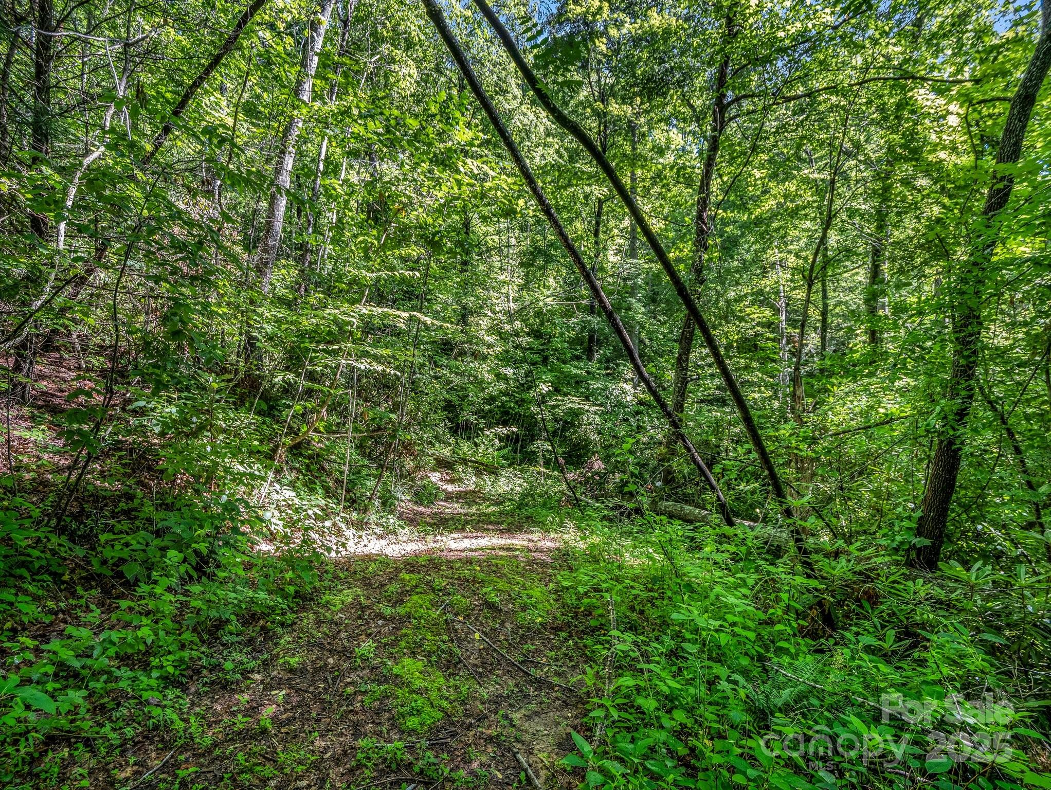 Tbd Climbing Road Hendersonville NC 28792